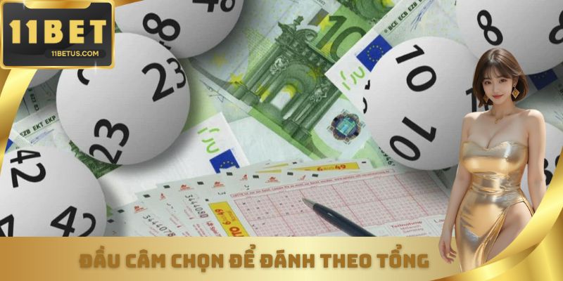 Đầu câm nào tiềm năng chọn để đánh theo tổng